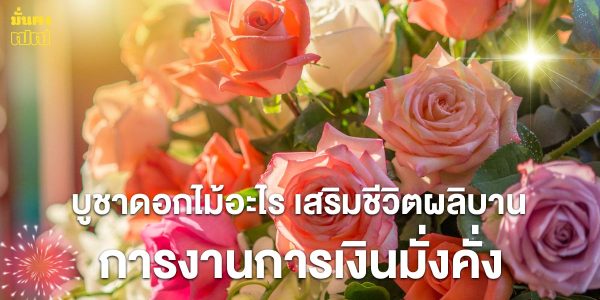 บูชาดอกไม้อะไร เสริมชีวิตผลิบาน การงานการเงินมั่งคั่ง โดย แมนการิน