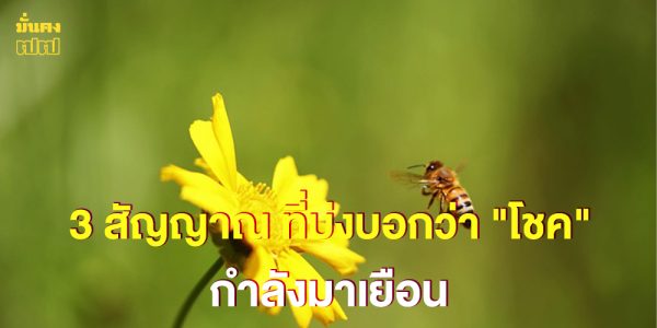 3 สัญญาณ ที่บ่งบอกว่า โชค กำลังมาเยือน