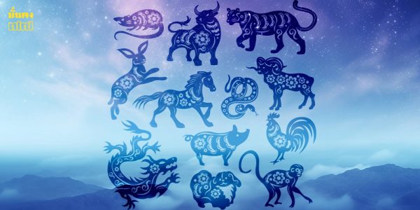 12 นักษัตรแฮปปี้ ชีวิตคลี่คลายเดือน พ.ย. 68