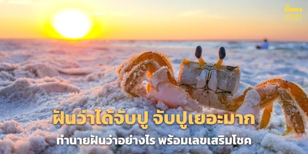 ฝันว่าได้จับปู