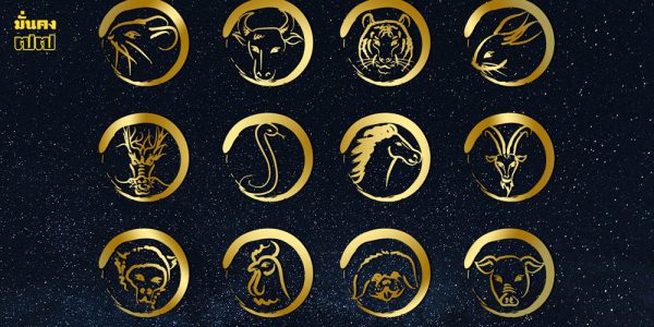 3 นักษัตร ปี 69 ช่วงขาขึ้น