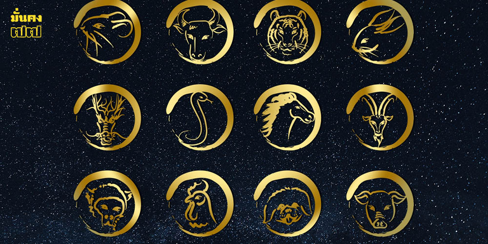 3 นักษัตร ปี 69 ช่วงขาขึ้น