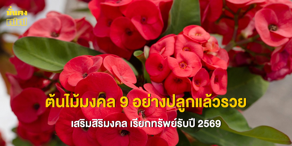 ต้นไม้มงคล 9 อย่างปลูกแล้วรวย