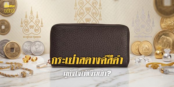 กระเป๋าสตางค์สีดำ มูยังไงให้เงินเข้า?